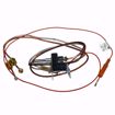 Picture of K,PILOT ASSEMBLY W/TUBING,WR,NATURAL