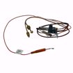 Picture of K,PILOT ASSEMBLY W/TUBING,WR,NATURAL