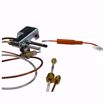 Picture of K,PILOT ASSEMBLY W/TUBING,WR,NATURAL