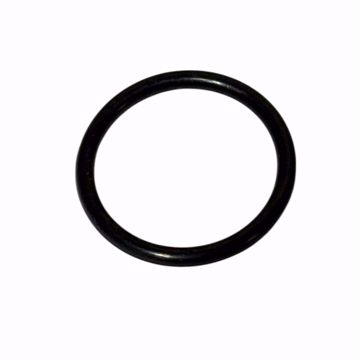 Picture of O-RING, FLANGED GAS VALVE