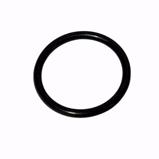 Picture of O-RING, FLANGED GAS VALVE