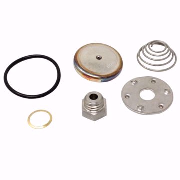 Picture of RT STEAM TRAP REPAIR KIT