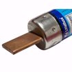 Picture of FUSE 250V TIME DELAY 110 AMP