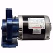 Picture of EN180025 ELITE PUMP AND MOTOR ASSEMBLY 1/3 HP 208-230V/460V 3 PHASE