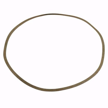Picture of VOLUTE GASKET