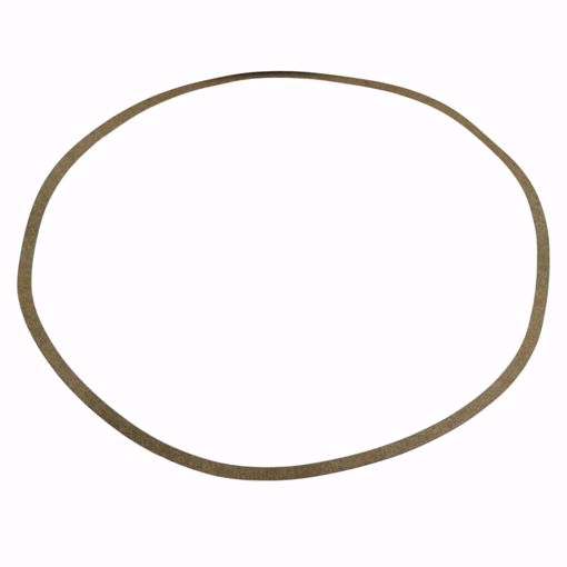 Picture of VOLUTE GASKET