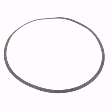 Picture of VOLUTE GASKET