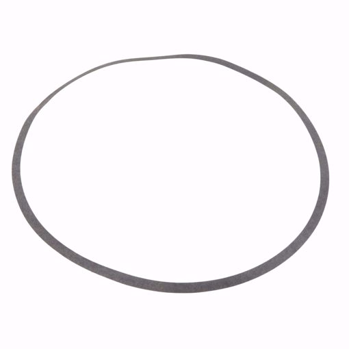 Picture of VOLUTE GASKET
