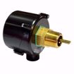 Picture of MCDONNELL MILLER FS254 GENERAL PURPOSE FLOW SWITCH NEMA4