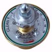 Picture of HAUCK S-3-1610D OIL METERING VALVE (SELF CLEANING