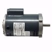 Picture of 1 HP 3450 RPM 56C 1/60/115/208-230 MOTOR