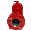 Picture of BELL & GOSSETT SA 2 FLO CONTROL VALVE