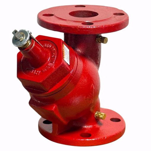 Picture of BELL & GOSSETT 2 TRIPLE DUTY VALVE