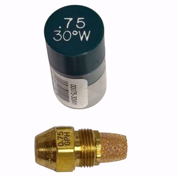 Picture of 00075-30W1 DELAVAN 0.75 GPH 30° W NOZZLE W/ SINTERED FILTER