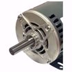 Picture of TRANE 3 HP 208-230/460V 1740 RPM MOTOR