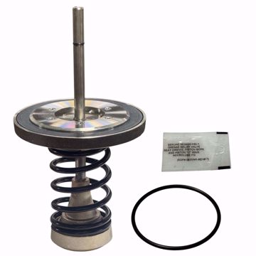 Picture of 0794098 WATTS 6 INCH LFRK909CK1 FIRST CHECK KIT LEAD FREE