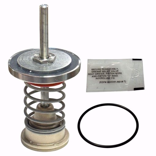 Picture of 0794097 WATTS FIRST CHECK KIT FOR LFRK 909-CK1