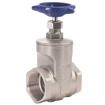 Picture of 1 T-751 S.S. GATE VALVE