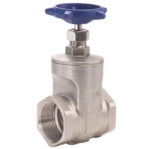 Picture of 1 T-751 S.S. GATE VALVE