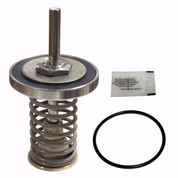 Picture of 0794096 WATTS LFRK 909-CK1 2 1/2-3