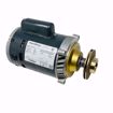 Picture of REPLACEMENT HOFFMAN PUMP & MOTOR ASSEMBLY 180004