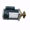 Picture of REPLACEMENT HOFFMAN PUMP & MOTOR ASSEMBLY 180004