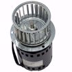 Picture of EN97727 ELITE REPLACES REZNOR 97727 115V INDUCER MOTOR WITH WHEEL 1/30HP 3000RPM