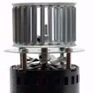 Picture of EN97727 ELITE REPLACES REZNOR 97727 115V INDUCER MOTOR WITH WHEEL 1/30HP 3000RPM