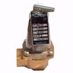 Picture of 110121 BELL & GOSSETT 790-30 3/4 ASME RELIEF VALVE SET