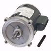 Picture of O210 DIVERSITECH  1/3HP 3450RPM 115/208-230V MOTOR
