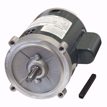 Picture of O210 DIVERSITECH  1/3HP 3450RPM 115/208-230V MOTOR