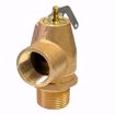Picture of 13-202-B15 CONBRACO RELIEF VALVE FOR STEAM 1 X 1 INCH 15 PSI BRZ 643 LBS/HR