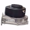 Picture of BLOWER