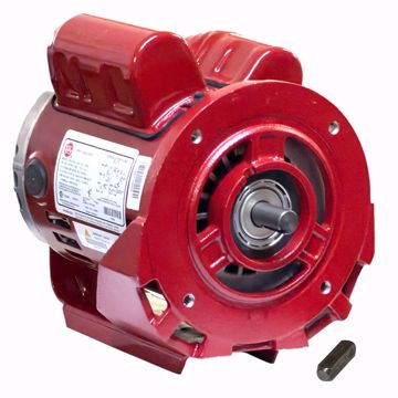 Picture of 1/2HP,1725RPM,115/208-230,56YZ