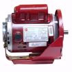 Picture of 1/2HP,1725RPM,115/208-230,56YZ