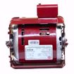 Picture of 1/4HP 1725RPM 115V CW 48YZ B&G 111040 ARMSTRONG 817025-007