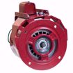 Picture of 1/3HP,1725RPM,115V,CCW,48YZ