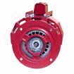 Picture of 1/3HP,1725RPM,115V,CCW,48YZ