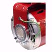 Picture of 1/3HP,1725RPM,115V,CCW,48YZ