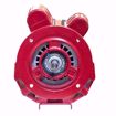 Picture of 3261 U.S. MOTORS 3/4HP,1725RPM,115/208-230,56YZ Armstrong 811757-002 / 811757-033/ 116641-062