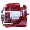 Picture of 3261 U.S. MOTORS 3/4HP,1725RPM,115/208-230,56YZ Armstrong 811757-002 / 811757-033/ 116641-062